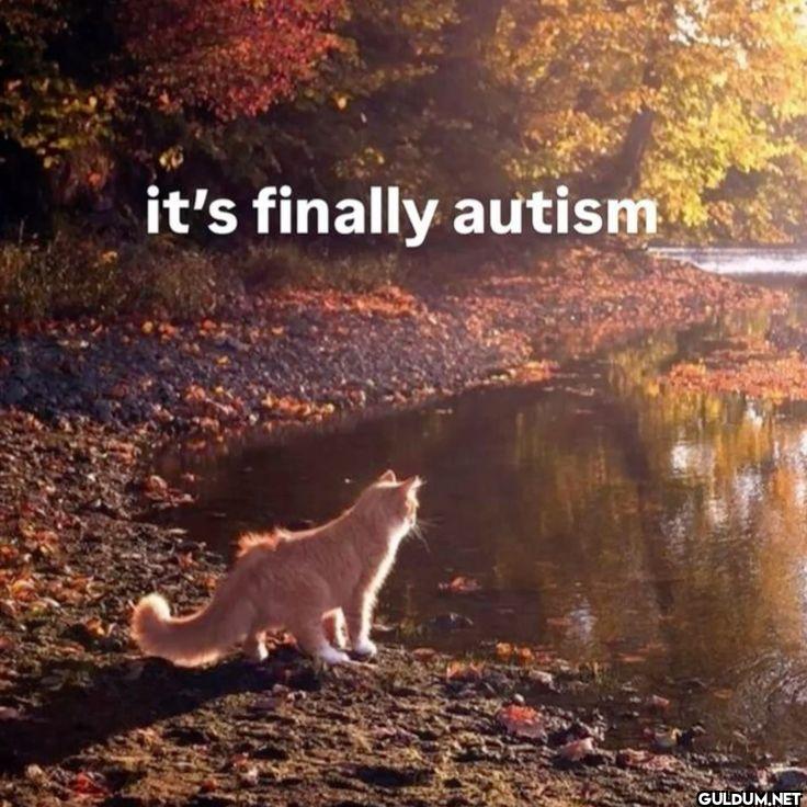 it's finally autism