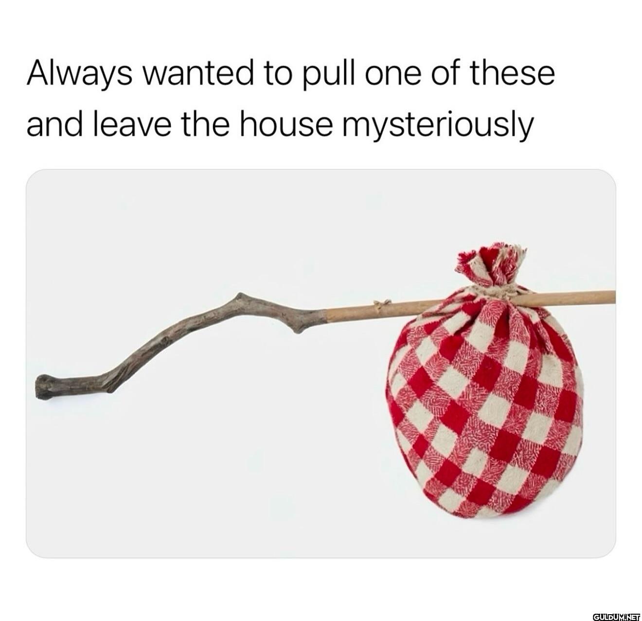 Always wanted to pull one...