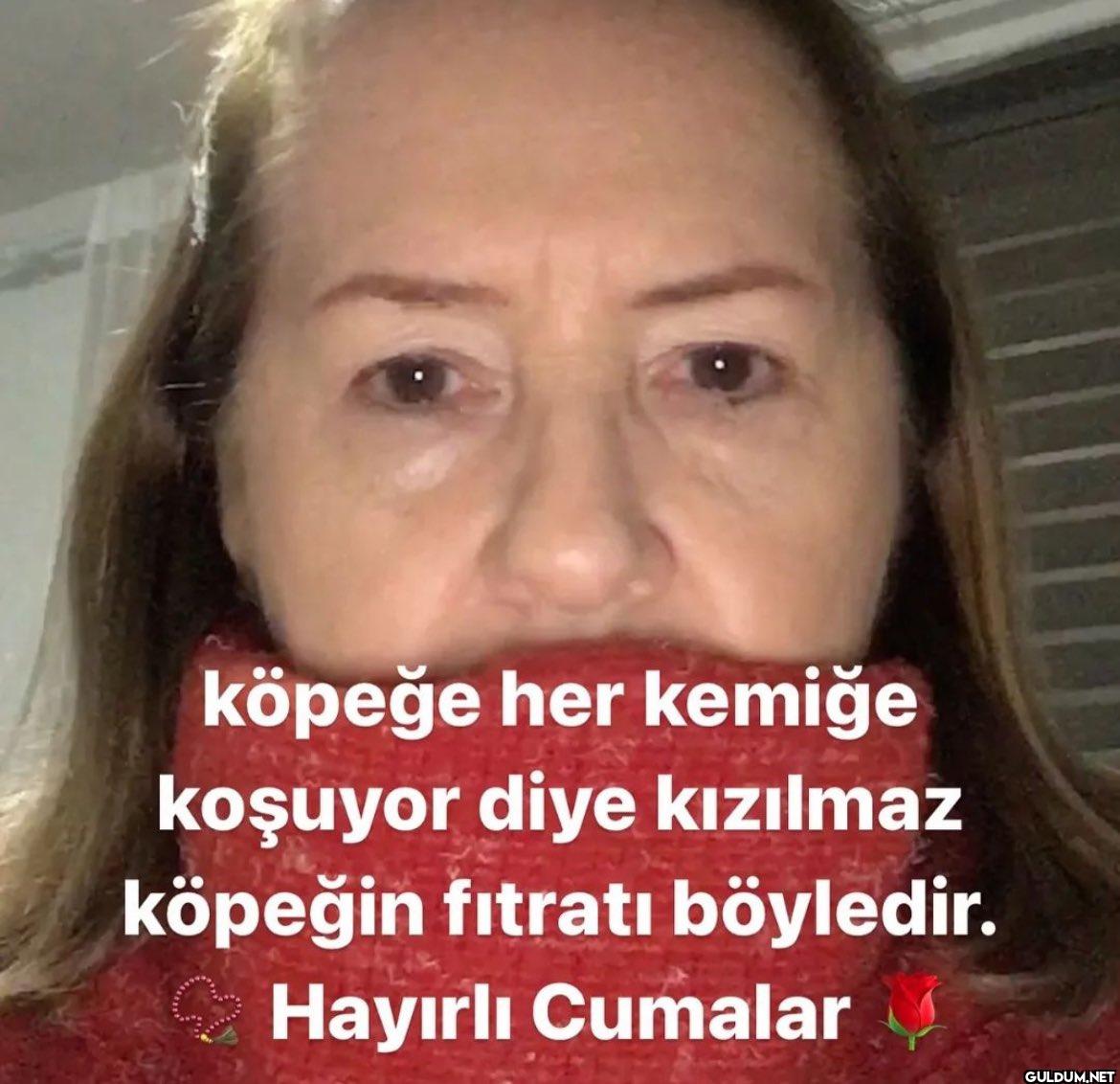 köpeğe her kemiğe koşuyor...