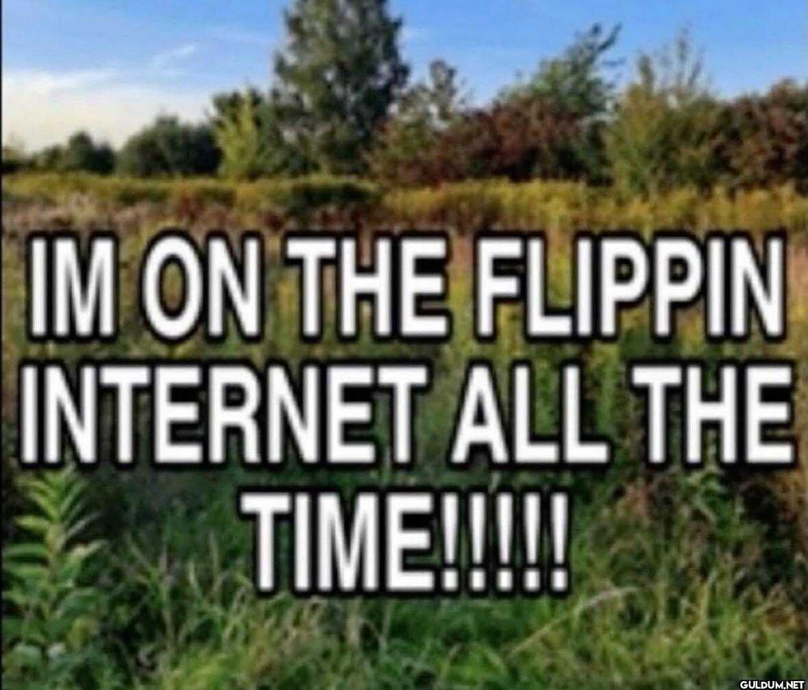 IM ON THE FLIPPIN INTERNET...