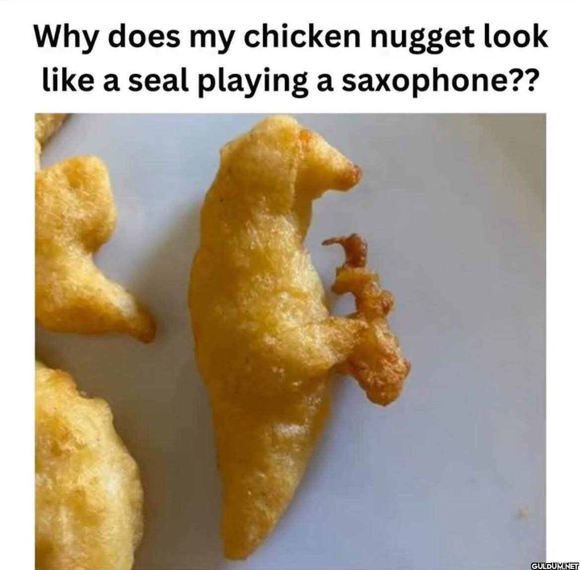 ︎ ︎    Why does my chicken...