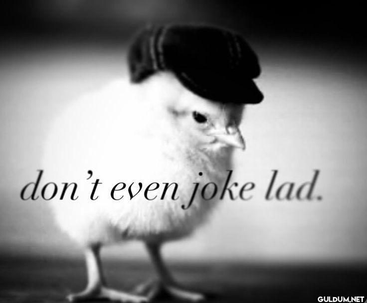 don't even joke lad.