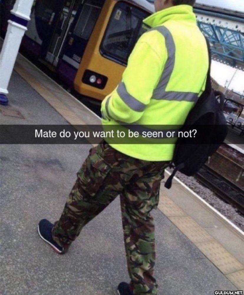55235 Mate do you want to...