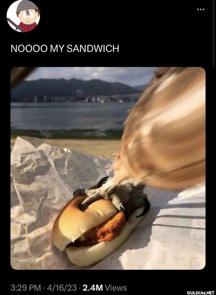 .    NOOOO MY SANDWICH...