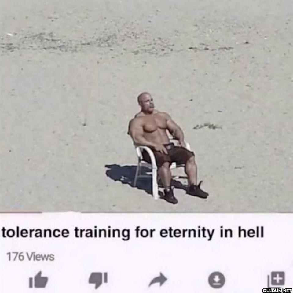 tolerance training for...