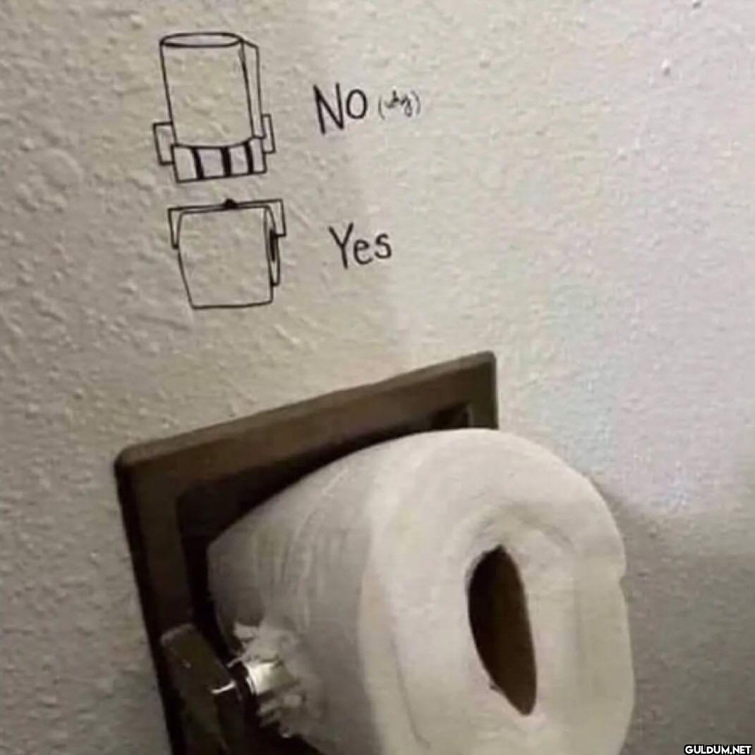 NO (9) Yes