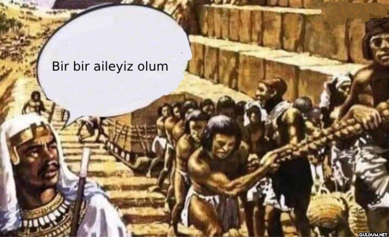 Bir bir aileyiz olum