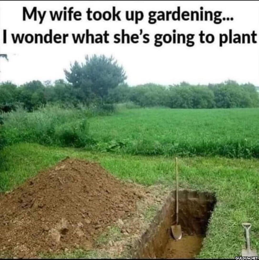 My wife took up...