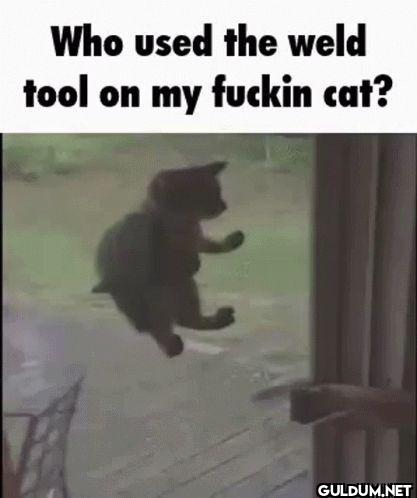 Who used the weld tool on...