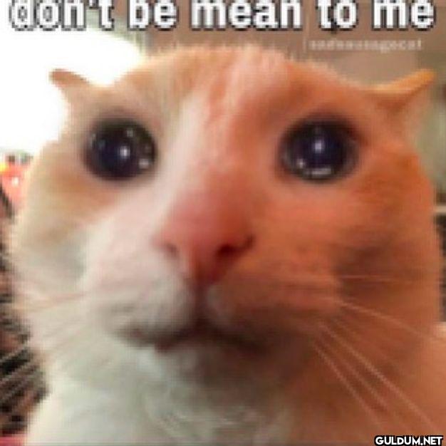 don't be mean to me sadnessangel