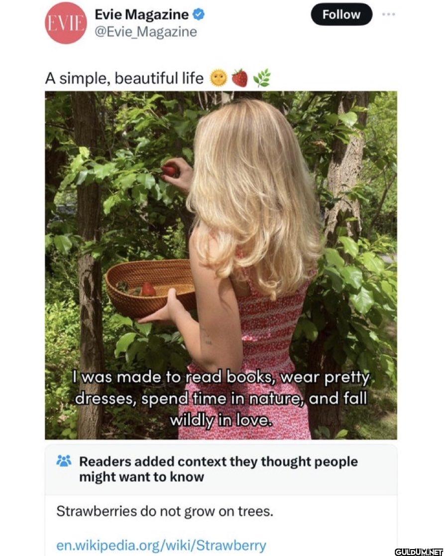 A simple, beautiful life...