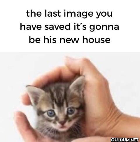 the last image you have...