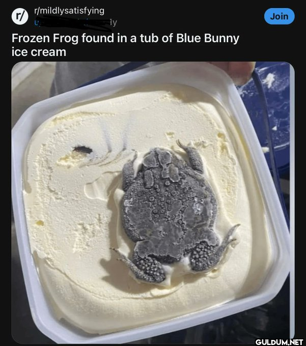 r/mildlysatisfying ly...