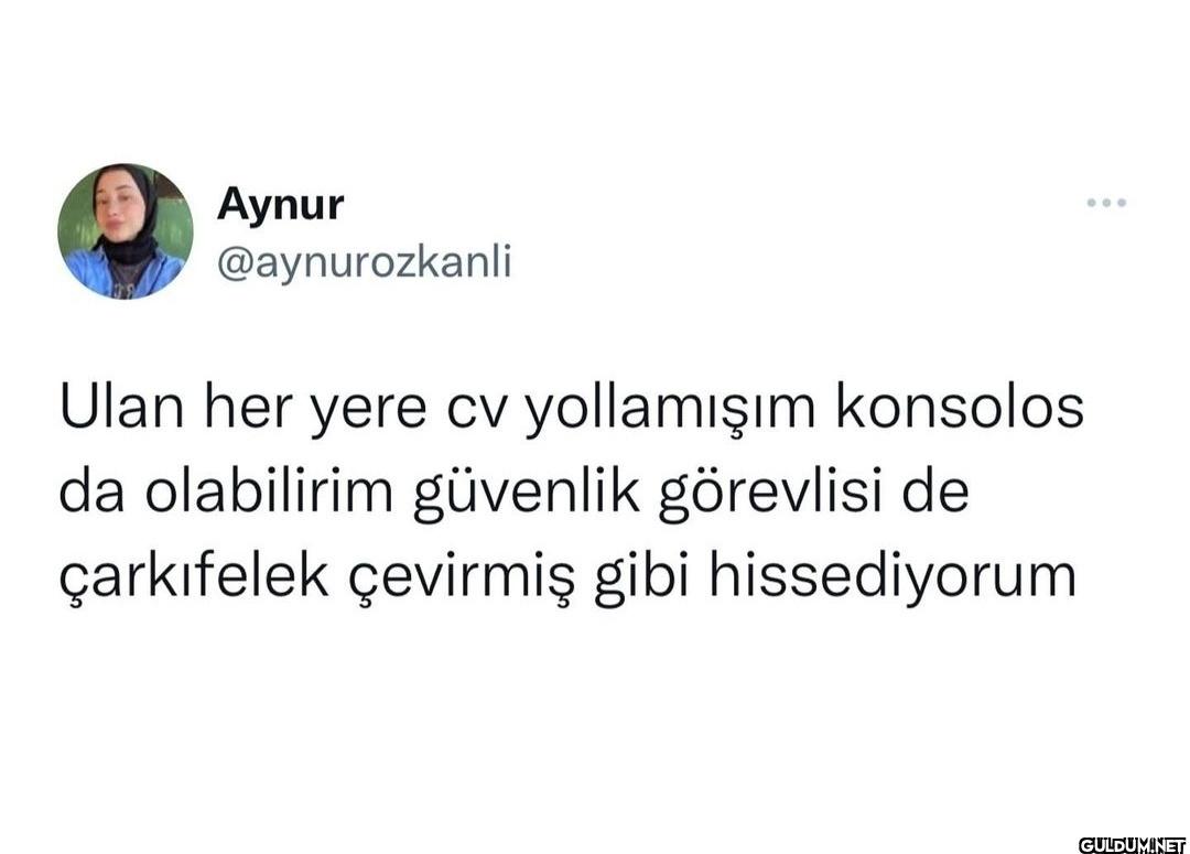 Ulan her yere cv...