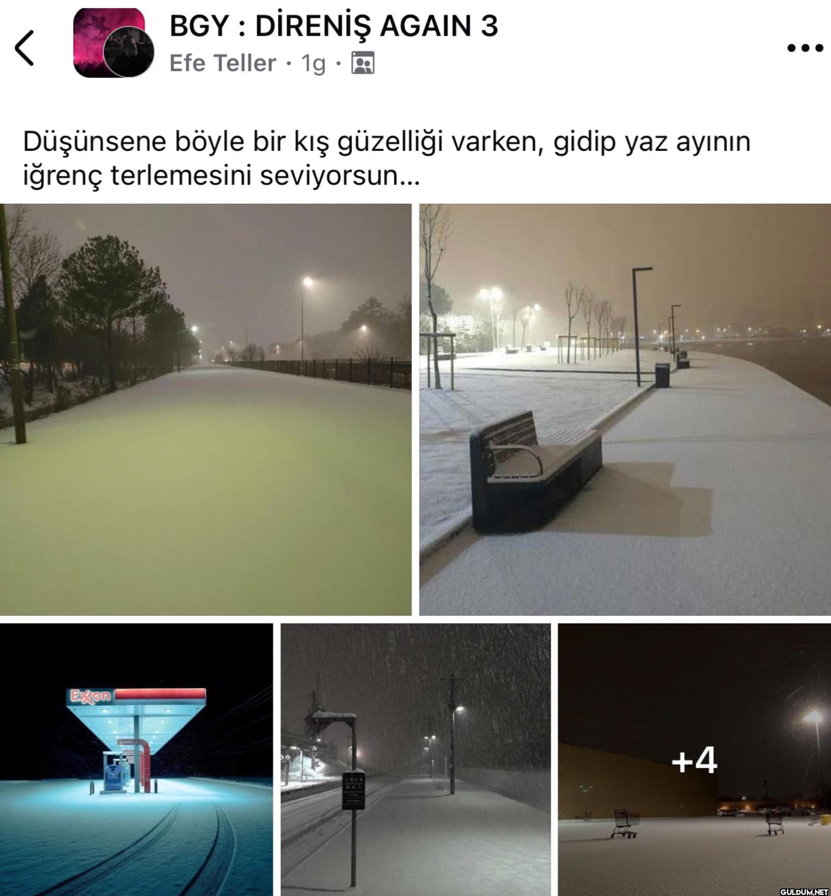 Kış ayı >    < BGY:...