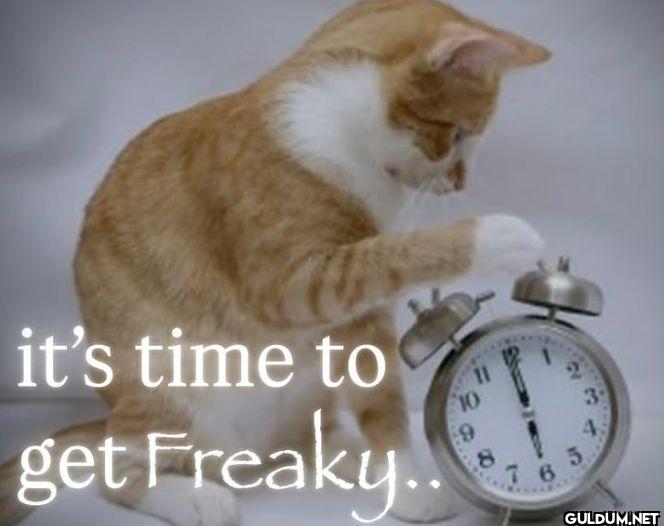 it's time to get Freaky..