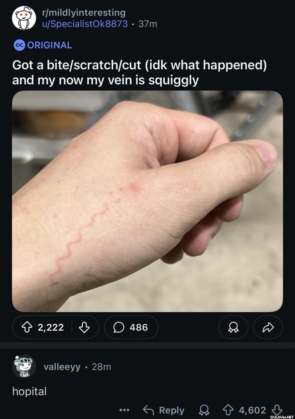 r/mildlyinteresting...
