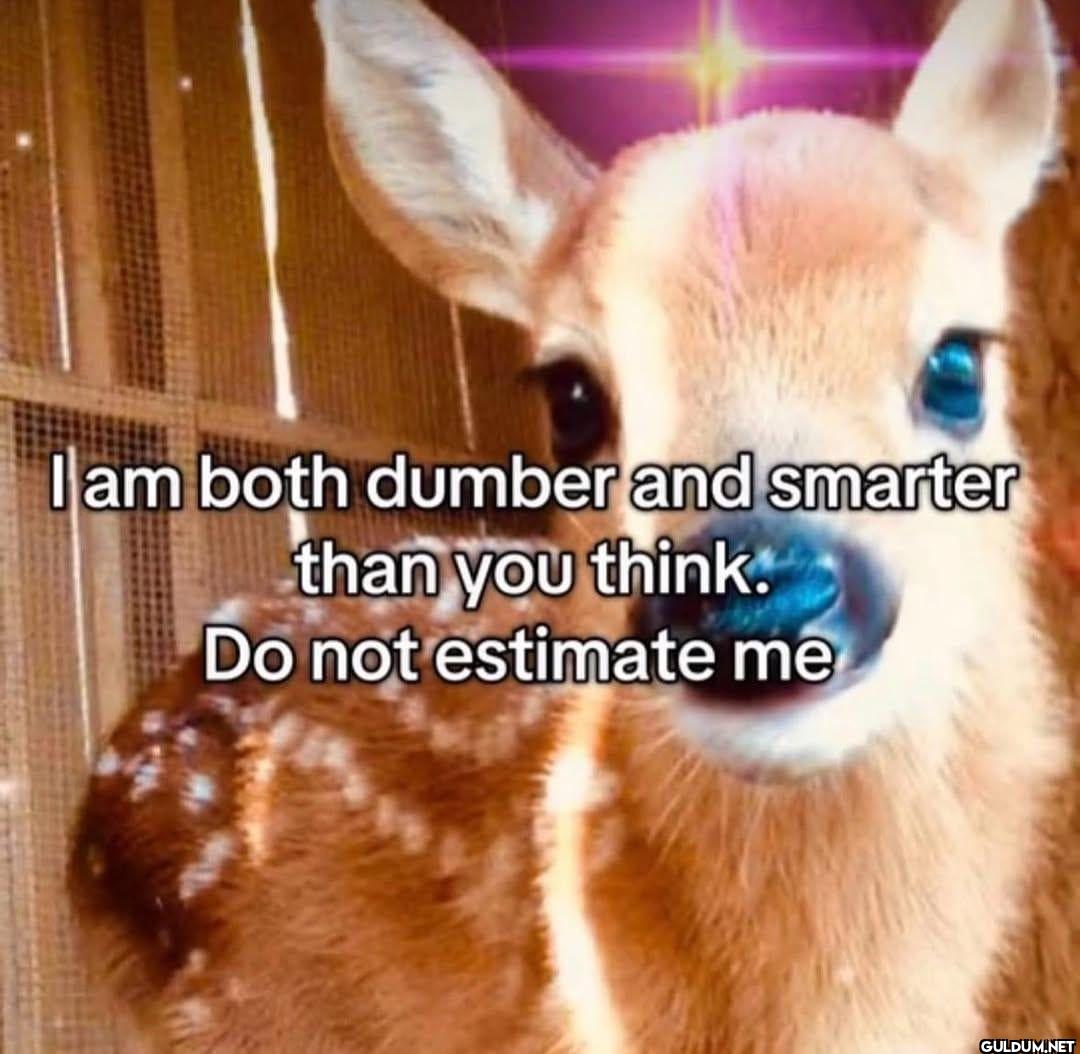 I am both dumber and...
