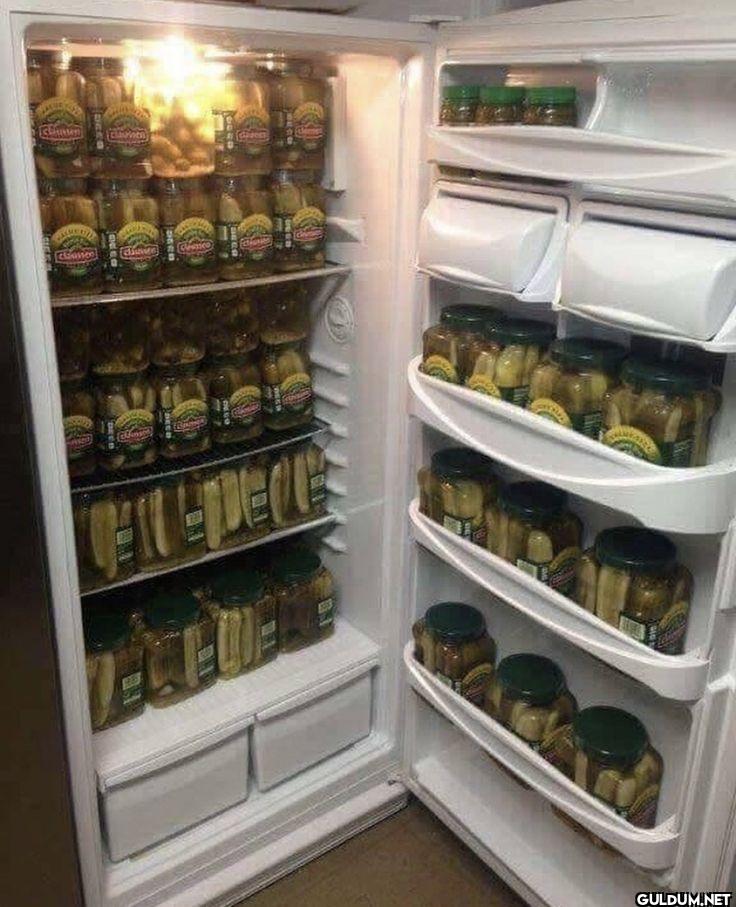 average female fridge   ...