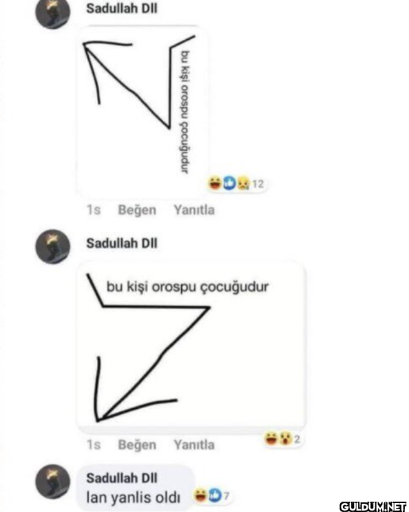Sadullah DII bu kişi...