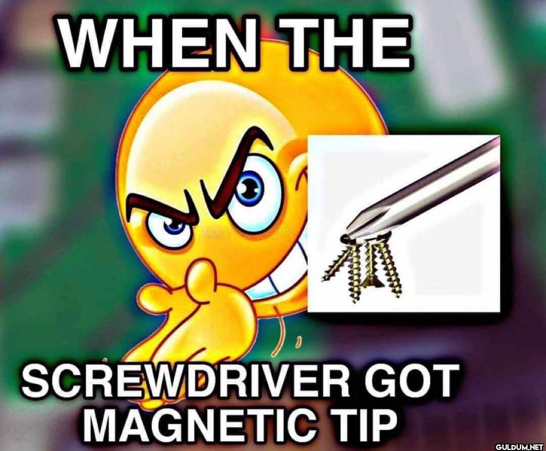 Hell yeah    WHEN THE...