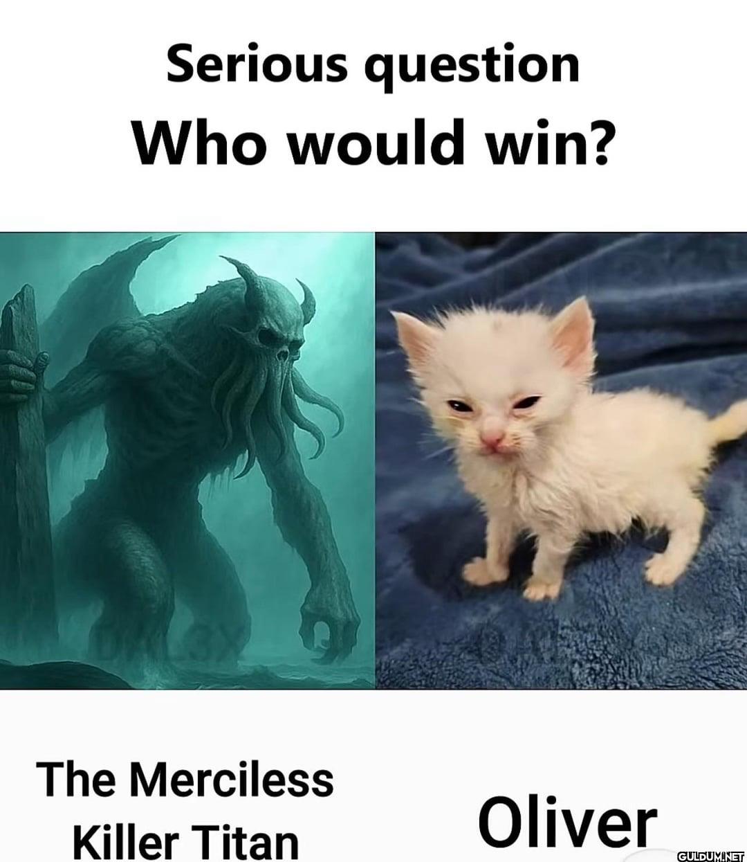 Serious question Who would...