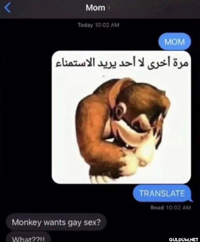 Mom Today MOM مرة أخرى لا...
