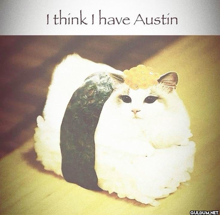 I think I have Austin