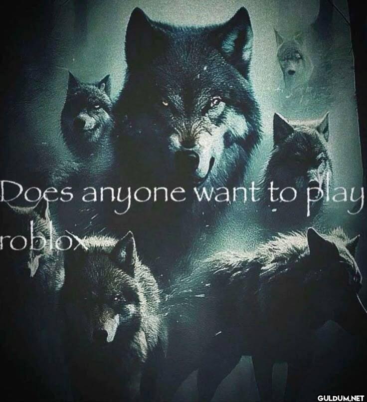 Does anyone want to play roblox