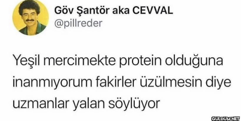 Yeşil mercimekte protein...
