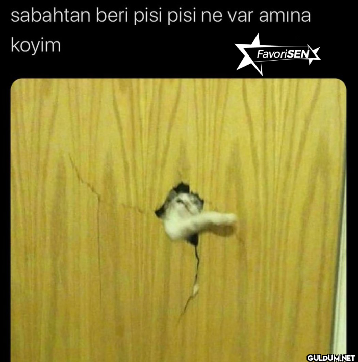 sabahtan beri pisi pisi ne...