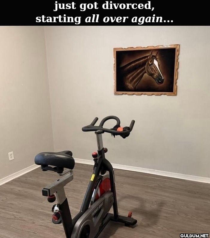 just got divorced,...