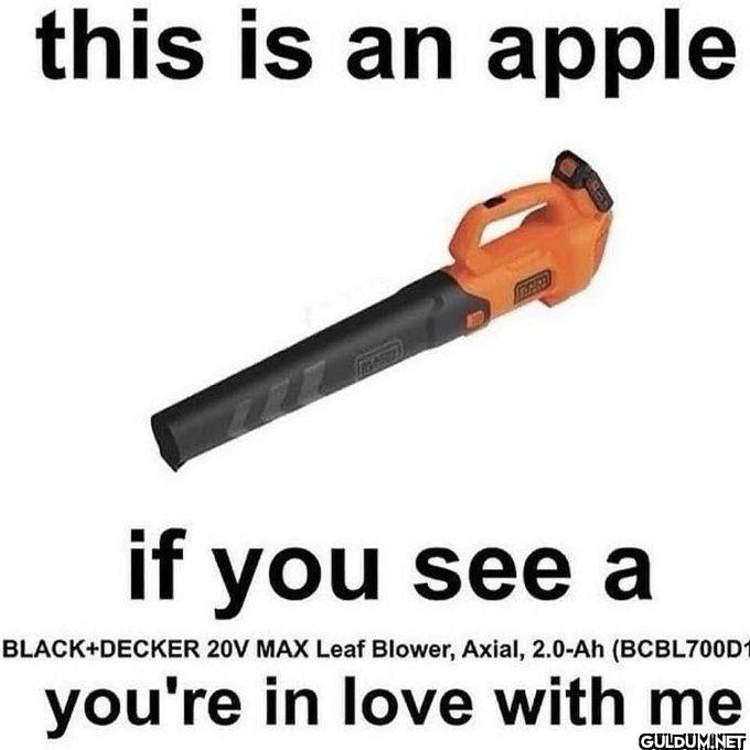 this is an apple if you...