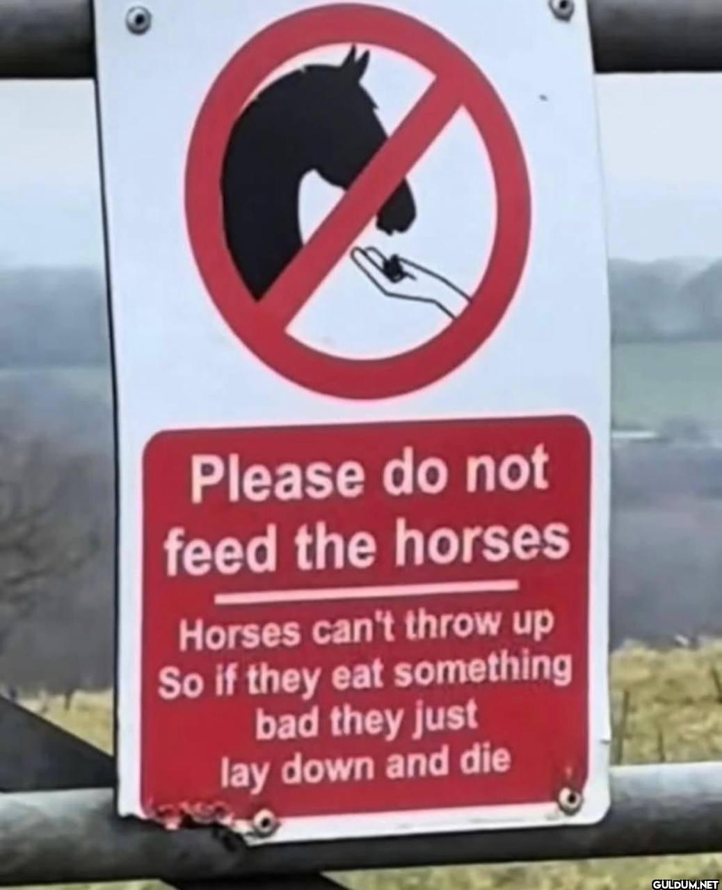 Please do not feed the...