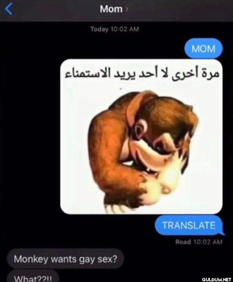 Mom Today MOM مرة أخرى لا...