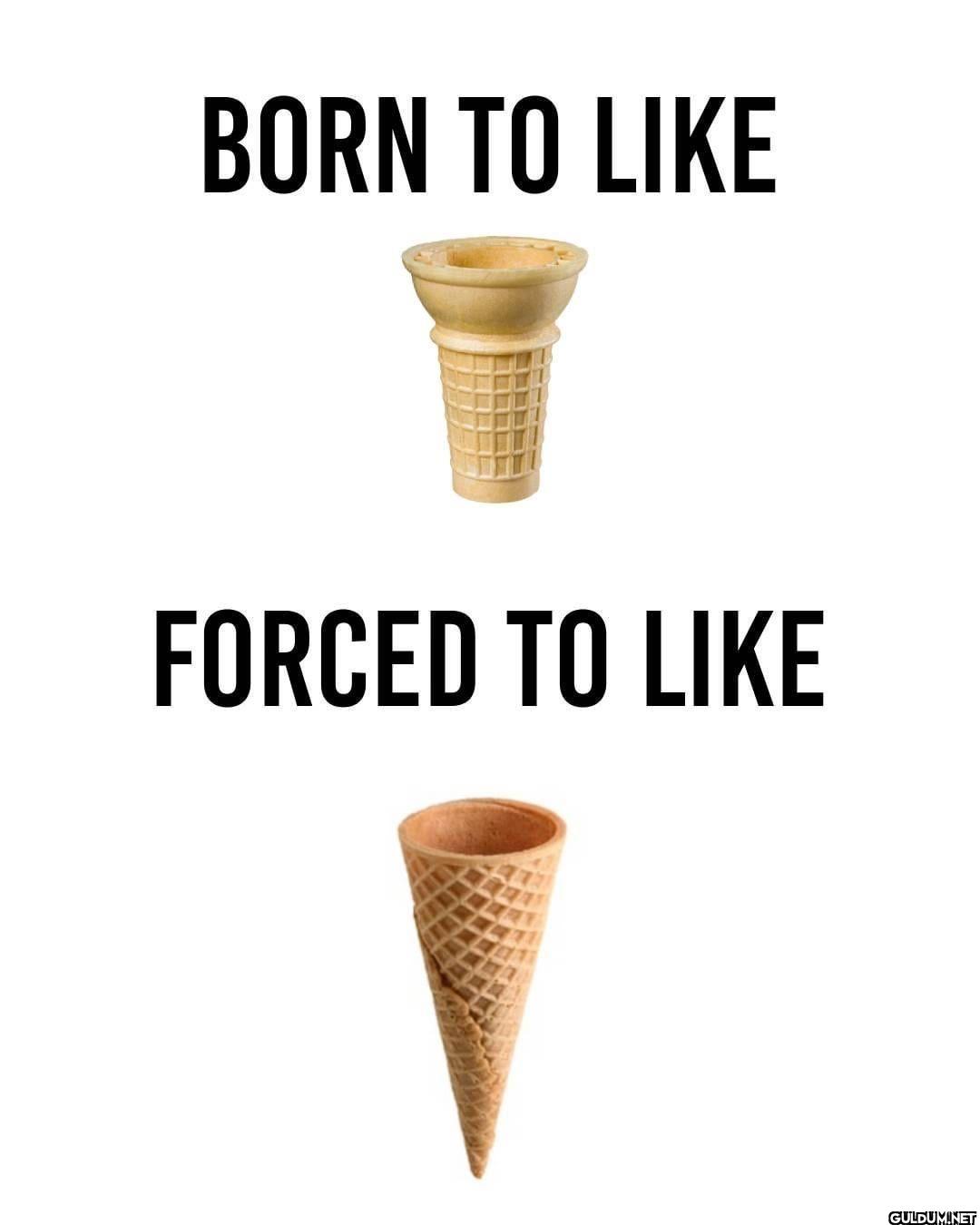 BORN TO LIKE FORCED TO LIKE