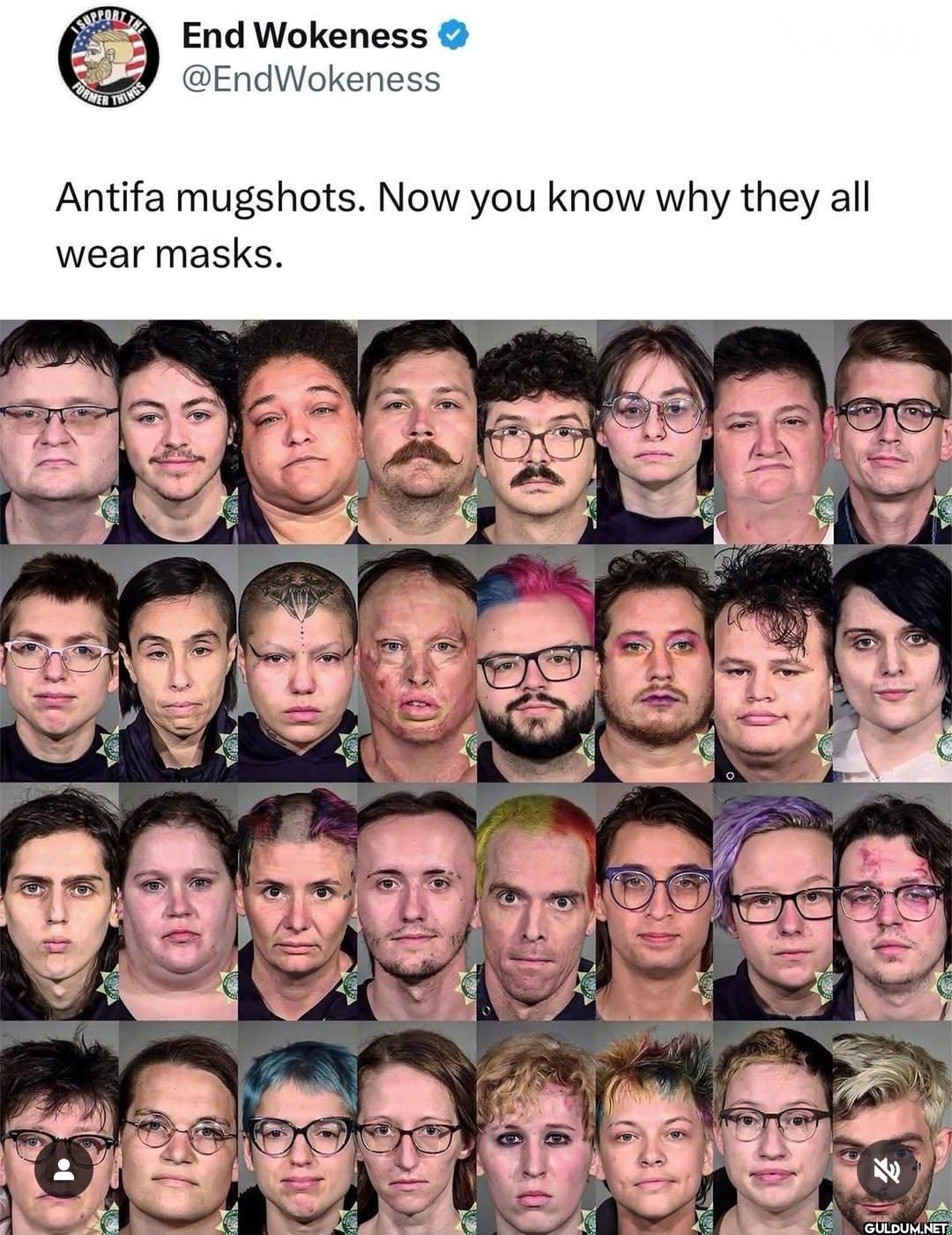 Why do they all look the...