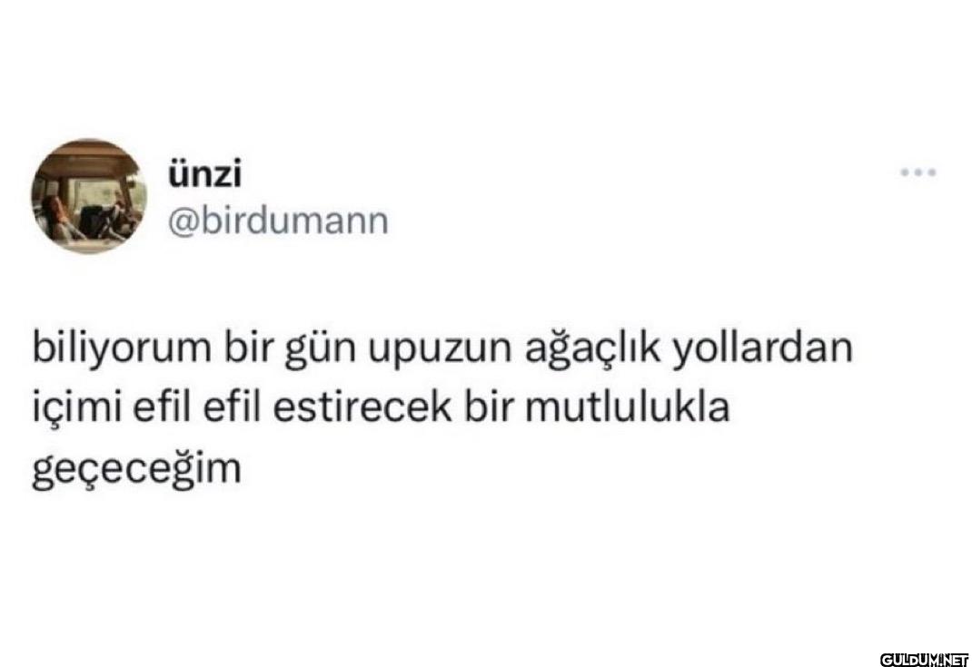 biliyorum bir gün upuzun...