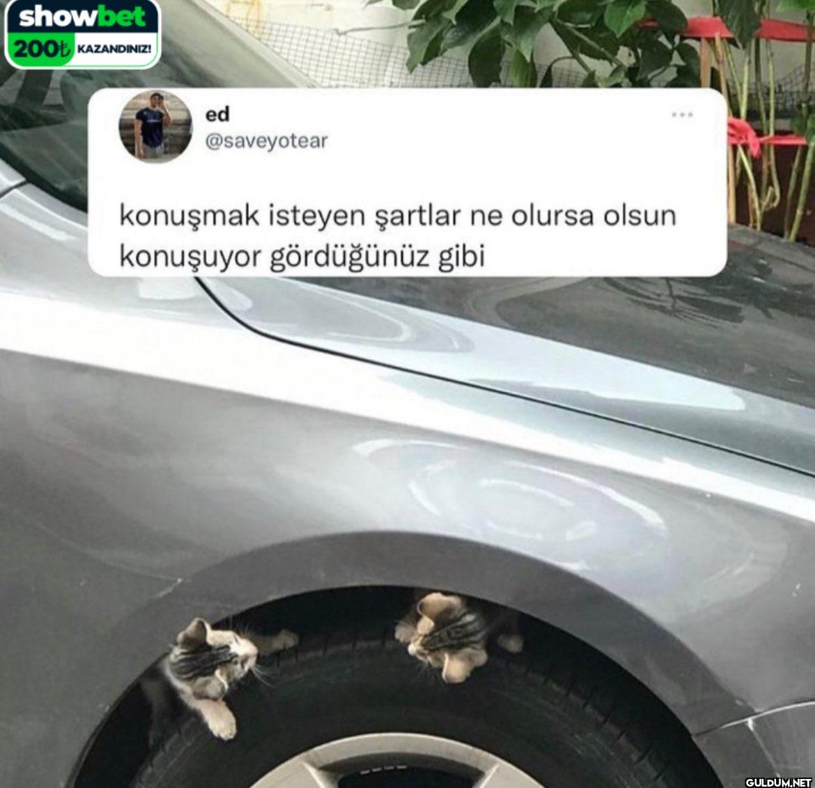 konuşmak isteyen şartlar...