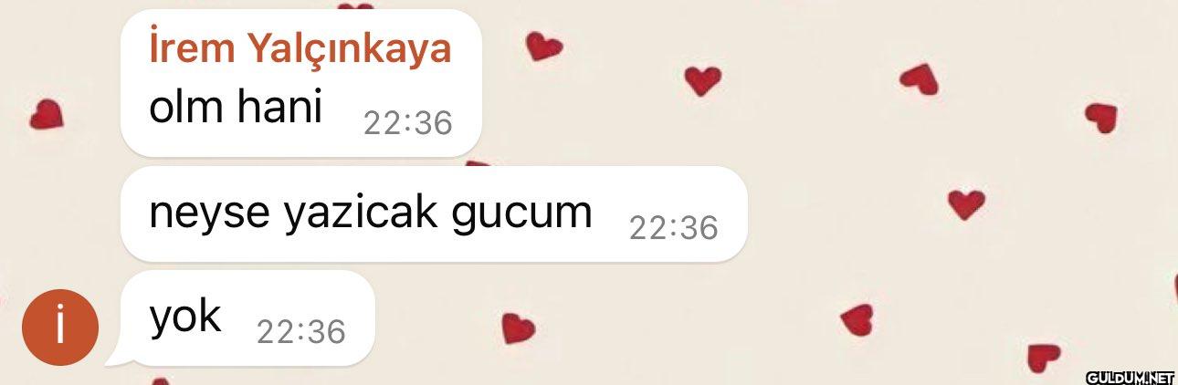 İrem Yalçınkaya olm hani...