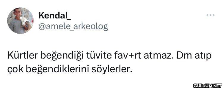 arkeolog Kürtler beğendiği...