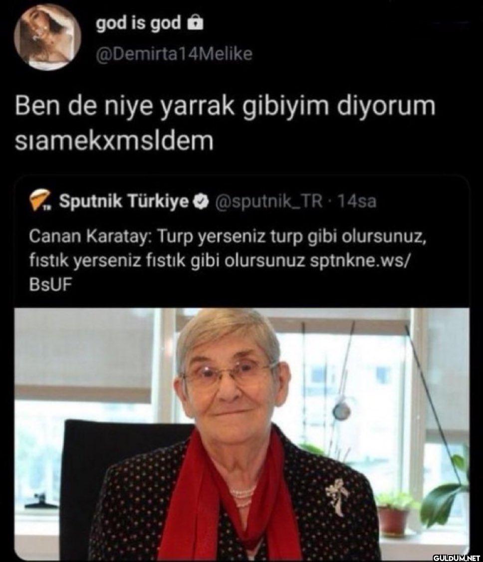 Ben de niye yarrak gibiyim...