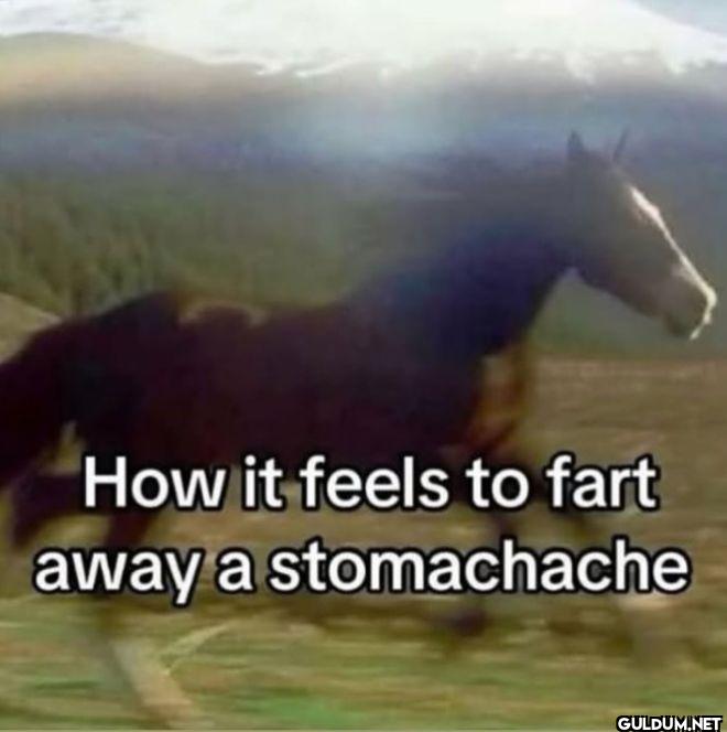 How it feels to fart away...