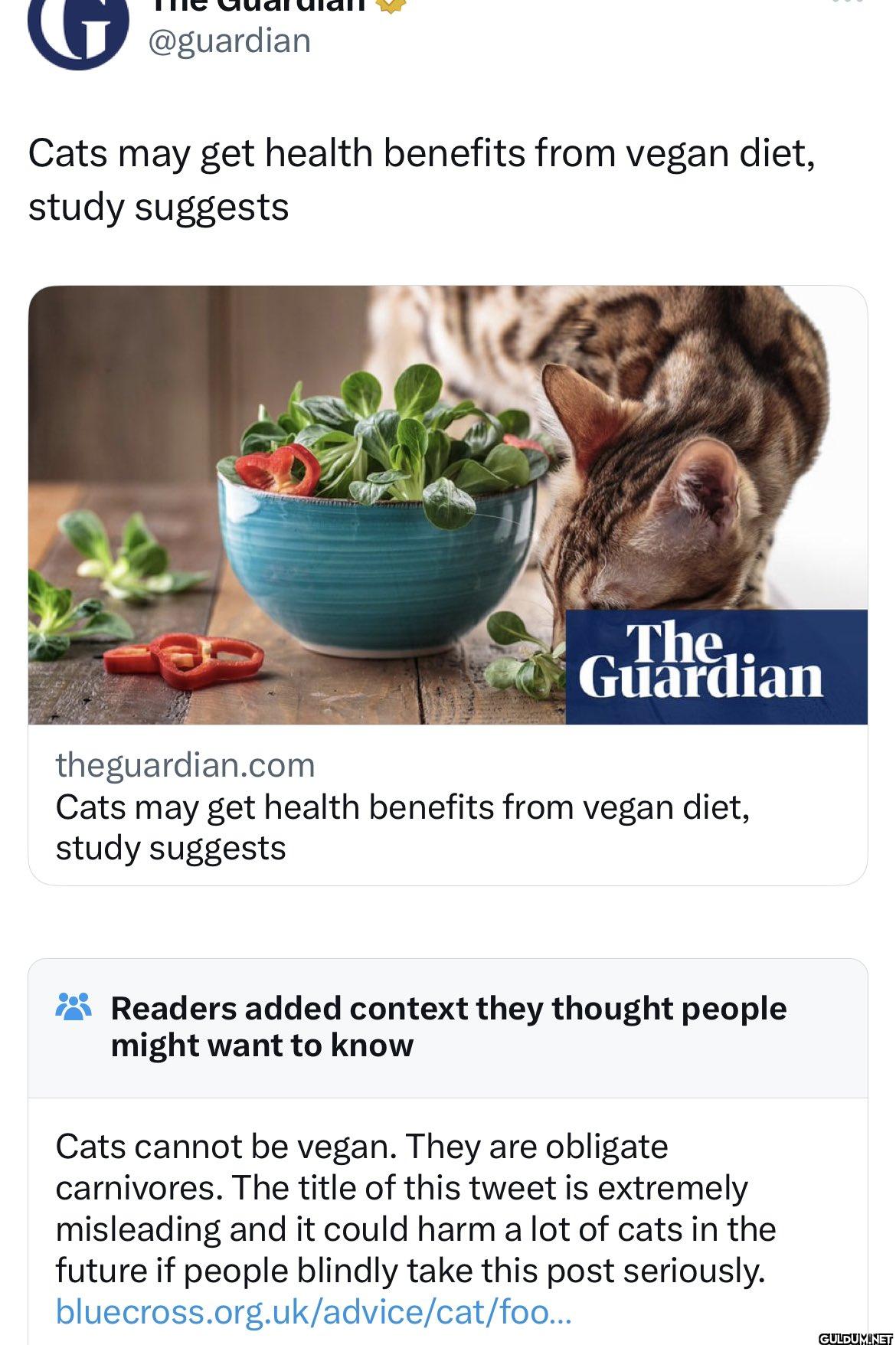 Cats may get health...