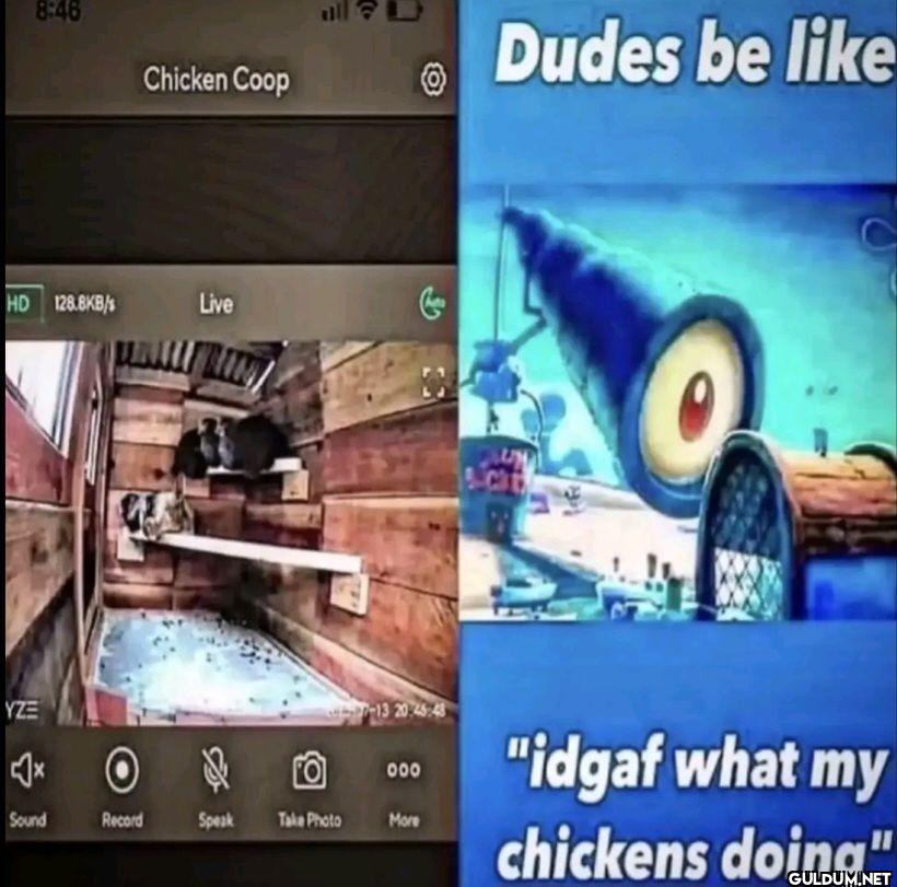 Chicken Coop HD 12.6KB s...