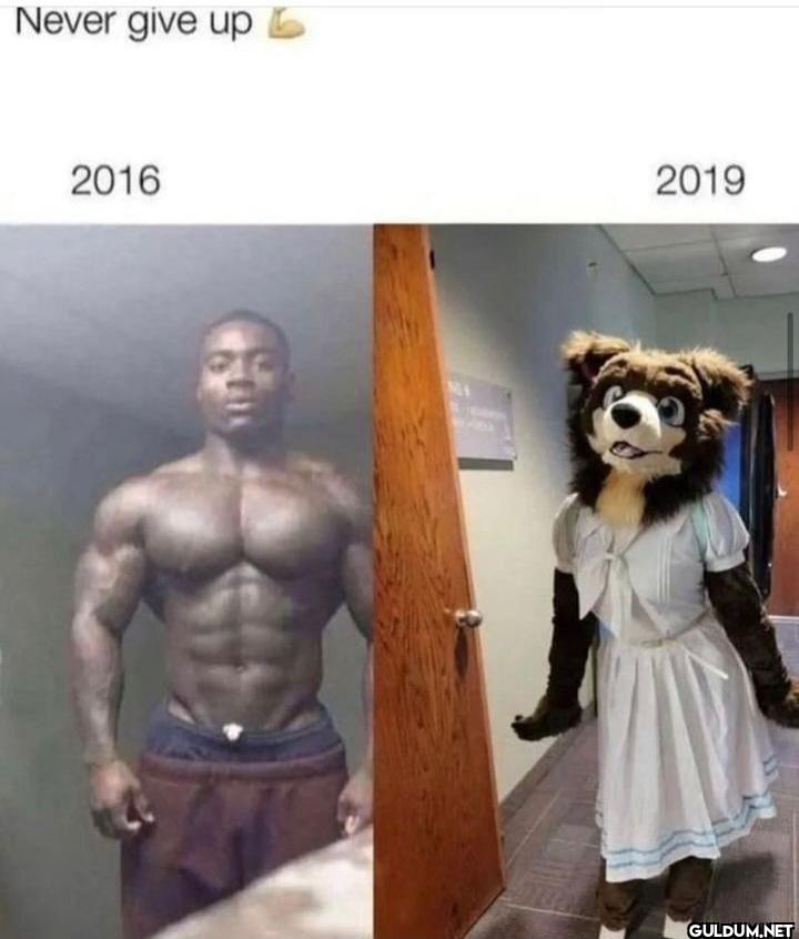 Never give up 2016 2019