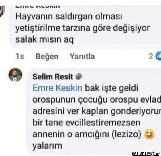 160-) lezizo    Hayvanın...