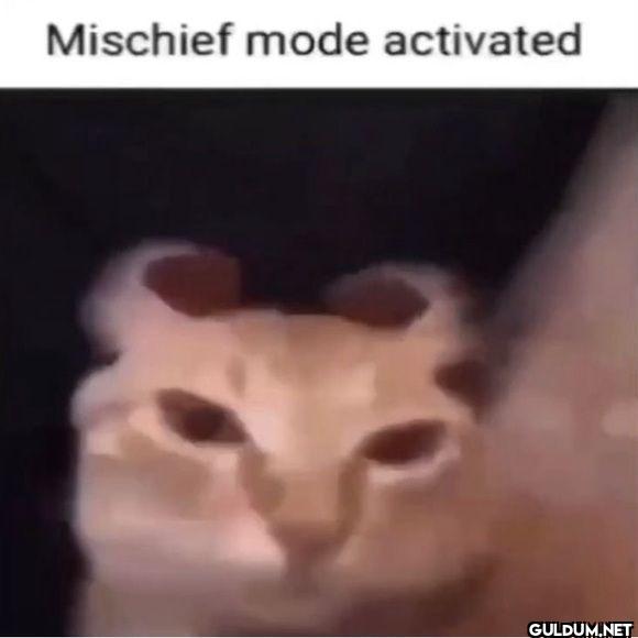 Mischief mode activated