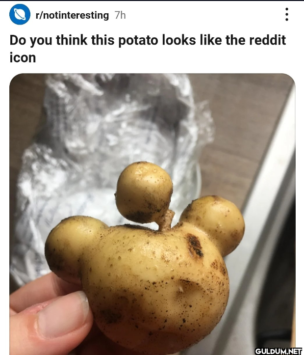 Popular post
