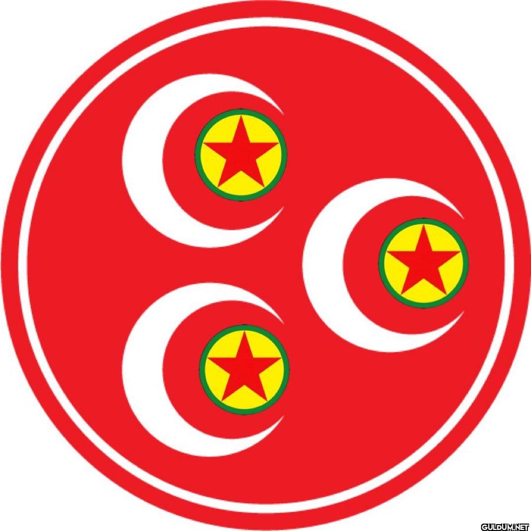 Güncel MHP amblemi: